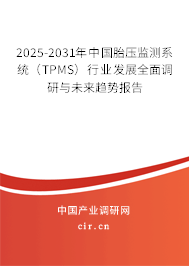 2025-2031年中國(guó)胎壓監(jiān)測(cè)系統(tǒng)（TPMS）行業(yè)發(fā)展全面調(diào)研與未來(lái)趨勢(shì)報(bào)告