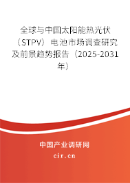 全球與中國太陽能熱光伏（STPV）電池市場調(diào)查研究及前景趨勢報告（2025-2031年）