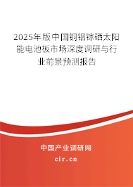 2025年版中國銅銦鎵硒太陽能電池板市場深度調(diào)研與行業(yè)前景預(yù)測報告