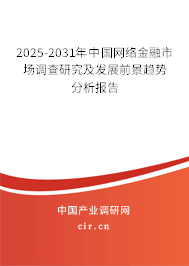 2025-2031年中國網(wǎng)絡(luò)金融市場調(diào)查研究及發(fā)展前景趨勢分析報告
