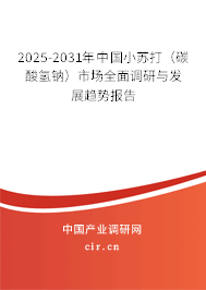 2025-2031年中國小蘇打（碳酸氫鈉）市場全面調(diào)研與發(fā)展趨勢報告