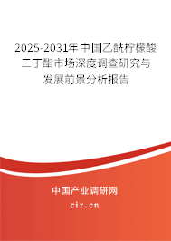 2024-2030年中國乙酰檸檬酸三丁酯市場深度調(diào)查研究與發(fā)展前景分析報(bào)告