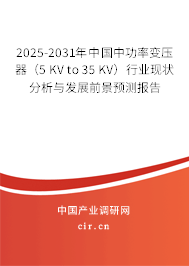 2025-2031年中國(guó)中功率變壓器（5 KV to 35 KV）行業(yè)現(xiàn)狀分析與發(fā)展前景預(yù)測(cè)報(bào)告