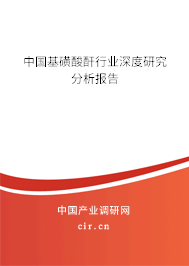 中國(guó)基磺酸酐行業(yè)深度研究分析報(bào)告