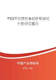 中國三輪摩托車配件項(xiàng)目可行性研究報(bào)告