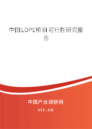 中國LDPE項(xiàng)目可行性研究報告