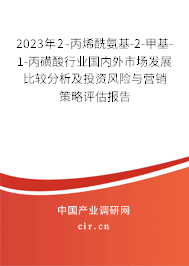 2023年2-丙烯酰氨基-2-甲基-1-丙磺酸行業(yè)國內(nèi)外市場發(fā)展比較分析及投資風險與營銷策略評估報告