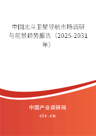 中國北斗衛(wèi)星導(dǎo)航市場調(diào)研與前景趨勢報(bào)告（2025-2031年）