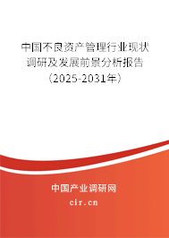 中國(guó)不良資產(chǎn)管理行業(yè)現(xiàn)狀調(diào)研及發(fā)展前景分析報(bào)告（2025-2031年）
