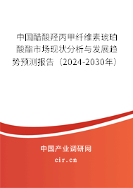中國醋酸羥丙甲纖維素琥珀酸酯市場現(xiàn)狀分析與發(fā)展趨勢預(yù)測報(bào)告（2024-2030年）