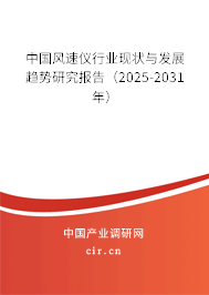 中國風(fēng)速儀行業(yè)現(xiàn)狀與發(fā)展趨勢(shì)研究報(bào)告（2025-2031年）