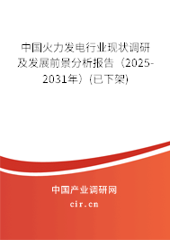 中國火力發(fā)電行業(yè)現(xiàn)狀調(diào)研及發(fā)展前景分析報告（2025-2031年）(已下架)