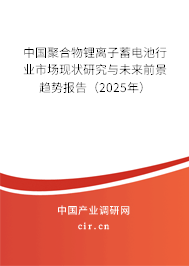 中國聚合物鋰離子蓄電池行業(yè)市場現(xiàn)狀研究與未來前景趨勢報告（2025年）