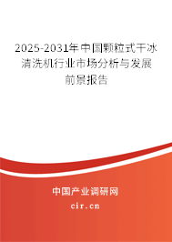 2025-2031年中國顆粒式干冰清洗機行業(yè)市場分析與發(fā)展前景報告