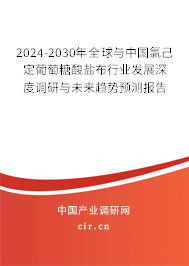 2024-2030年全球與中國氯己定葡萄糖酸鹽布行業(yè)發(fā)展深度調(diào)研與未來趨勢預測報告