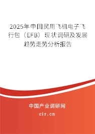 2025年中國民用飛機電子飛行包（EFB）現(xiàn)狀調(diào)研及發(fā)展趨勢走勢分析報告