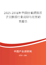 2025-2031年中國全氟磺酸質(zhì)子交換膜行業(yè)調(diào)研與前景趨勢報(bào)告