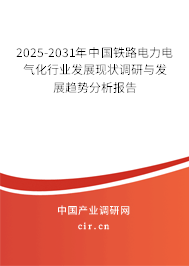2025-2031年中國鐵路電力電氣化行業(yè)發(fā)展現(xiàn)狀調(diào)研與發(fā)展趨勢分析報告