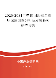 2025-2031年中國網(wǎng)絡(luò)安全市場深度調(diào)查分析及發(fā)展趨勢研究報告