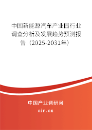中國新能源汽車產(chǎn)業(yè)園行業(yè)調(diào)查分析及發(fā)展趨勢預測報告（2025-2031年）
