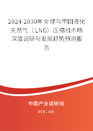 2024-2030年全球與中國液化天然氣（LNG）壓縮機市場深度調(diào)研與發(fā)展趨勢預測報告