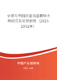 全球與中國質(zhì)量流量模塊市場研究及前景趨勢（2025-2031年）