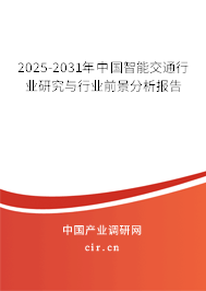 2025-2031年中國智能交通行業(yè)研究與行業(yè)前景分析報告