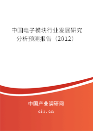 中國(guó)電子模塊行業(yè)發(fā)展研究分析預(yù)測(cè)報(bào)告（2012）
