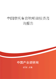 中國摩托車音響項目投資咨詢報告
