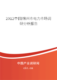 2012中國朔州市電力市場調(diào)研分析報告