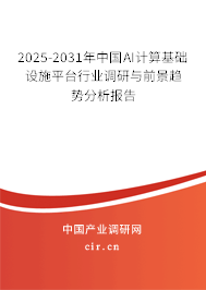 2025-2031年中國AI計(jì)算基礎(chǔ)設(shè)施平臺行業(yè)調(diào)研與前景趨勢分析報(bào)告