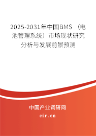 2025-2031年中國BMS （電池管理系統(tǒng)）市場現(xiàn)狀研究分析與發(fā)展前景預(yù)測