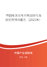 中國布洛芬片市場調(diào)研與發(fā)展前景預(yù)測報(bào)告（2025年）