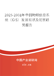 2025-2031年中國地理信息系統(tǒng)（GIS）發(fā)展現(xiàn)狀及前景趨勢報告