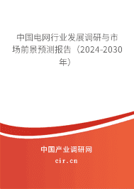 中國電網(wǎng)行業(yè)發(fā)展調(diào)研與市場前景預(yù)測報告（2024-2030年）