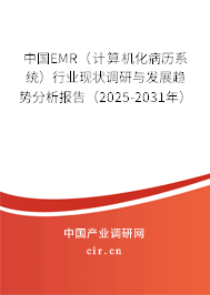 中國EMR（計算機化病歷系統(tǒng)）行業(yè)現(xiàn)狀調研與發(fā)展趨勢分析報告（2025-2031年）