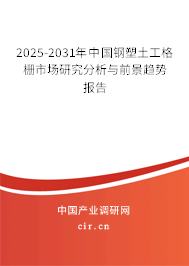 2025-2031年中國鋼塑土工格柵市場研究分析與前景趨勢報(bào)告