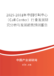 2025-2031年中國呼叫中心（Call Center）行業(yè)發(fā)展研究分析與發(fā)展趨勢預(yù)測報(bào)告