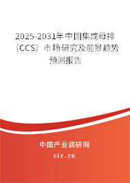 2025-2031年中國集成母排（CCS）市場研究及前景趨勢預(yù)測報告