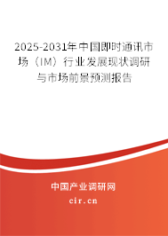 2025-2031年中國即時通訊市場（IM）行業(yè)發(fā)展現(xiàn)狀調(diào)研與市場前景預(yù)測報告