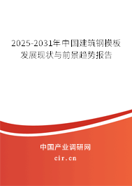 2025-2031年中國(guó)建筑鋼模板發(fā)展現(xiàn)狀與前景趨勢(shì)報(bào)告