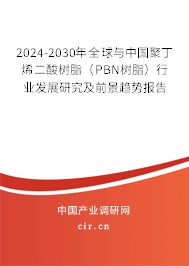 2024-2030年全球與中國聚丁烯二酸樹脂（PBN樹脂）行業(yè)發(fā)展研究及前景趨勢報(bào)告