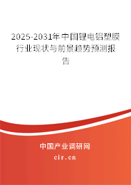 2025-2031年中國(guó)鋰電鋁塑膜行業(yè)現(xiàn)狀與前景趨勢(shì)預(yù)測(cè)報(bào)告