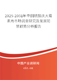 2025-2031年中國(guó)硫酸慶大霉素片市場(chǎng)調(diào)查研究及發(fā)展前景趨勢(shì)分析報(bào)告