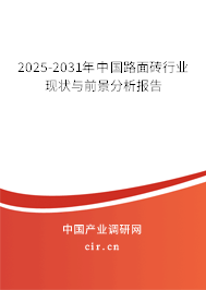 2025-2031年中國路面磚行業(yè)現(xiàn)狀與前景分析報告