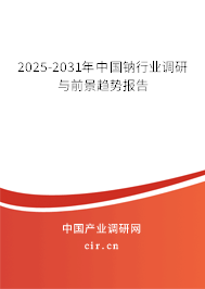 2025-2031年中國鈉行業(yè)調(diào)研與前景趨勢報告
