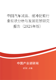 中國汽車減震、緩沖配套行業(yè)現(xiàn)狀分析與發(fā)展前景研究報告（2025年版）