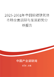 2025-2031年中國(guó)軟磁鐵氧體市場(chǎng)全面調(diào)研與發(fā)展趨勢(shì)分析報(bào)告