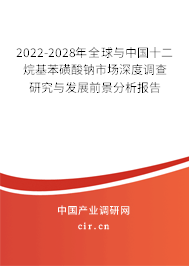 2022-2028年全球與中國(guó)十二烷基苯磺酸鈉市場(chǎng)深度調(diào)查研究與發(fā)展前景分析報(bào)告