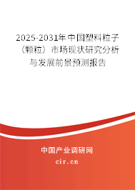 2025-2031年中國塑料粒子（顆粒）市場現(xiàn)狀研究分析與發(fā)展前景預(yù)測報告